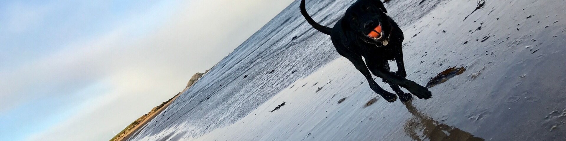Playing on west beach, on Boxing Day.
