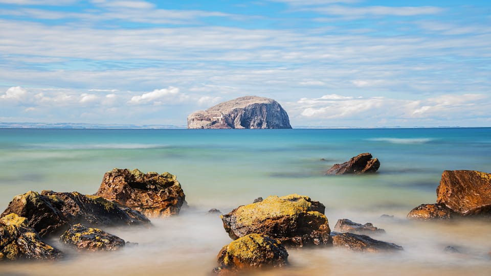 Bass Rock Scotland UK