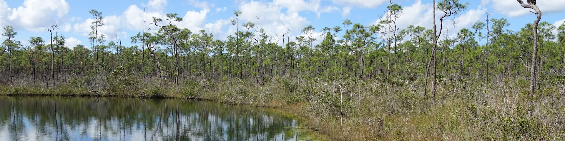 Cousteau's Blue Hole, Andros Island, Bahamas -Central Andros Bluehole National Park