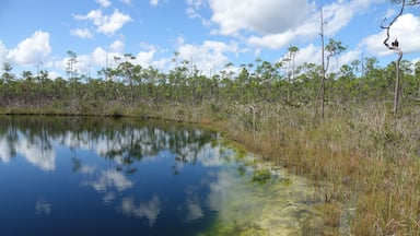 Cousteau's Blue Hole, Andros Island, Bahamas -Central Andros Bluehole National Park