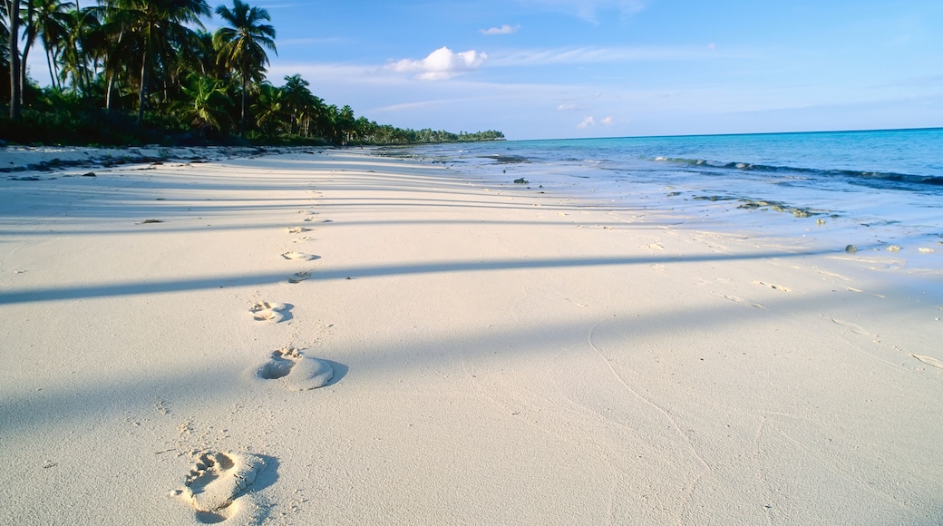 Footprints On Beach, Near Emerald Palms Resort, South Andros, The Bahamas