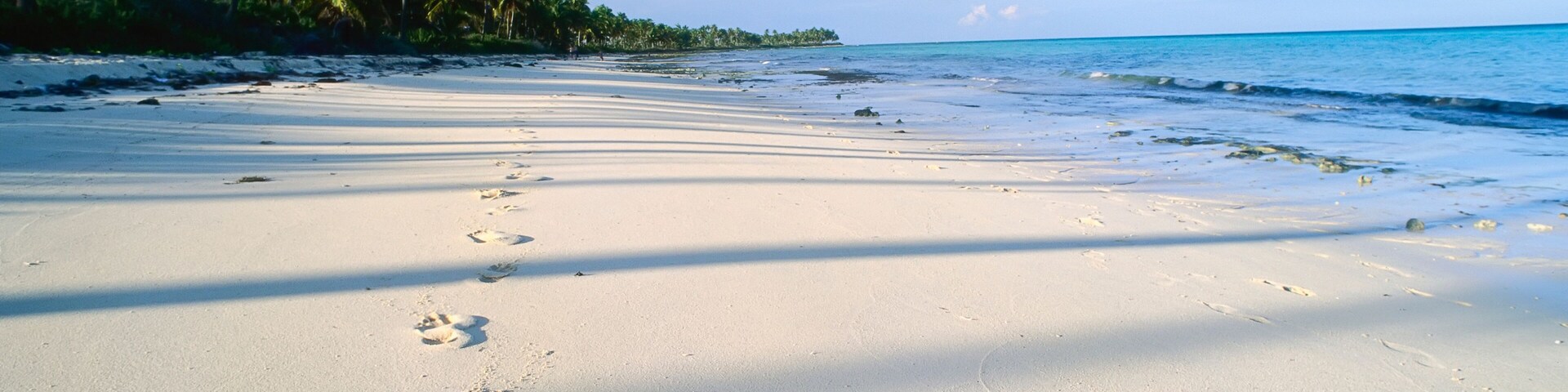 Uma praia de areia com pegadas que levam à água, palmeiras e céu claro.