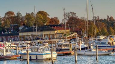 A marina with several boats docked, surrounded by buildings and trees.