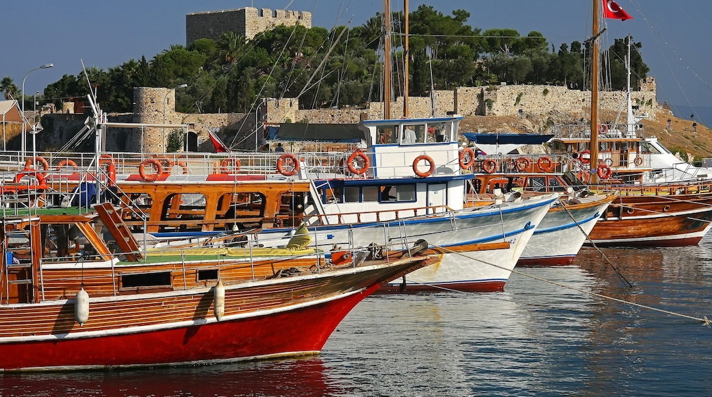 คูซาดาซี