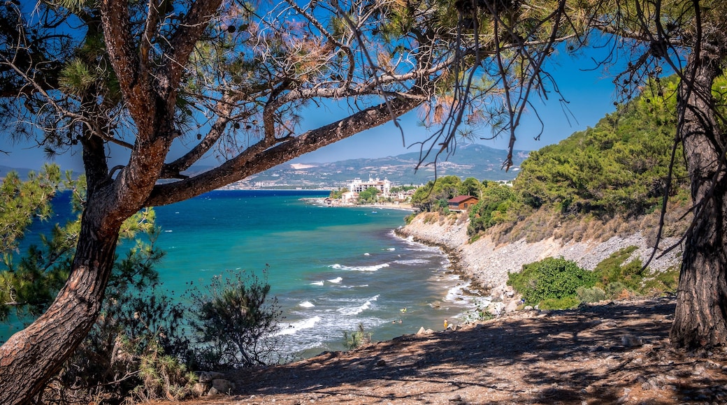 คูซาดาซี