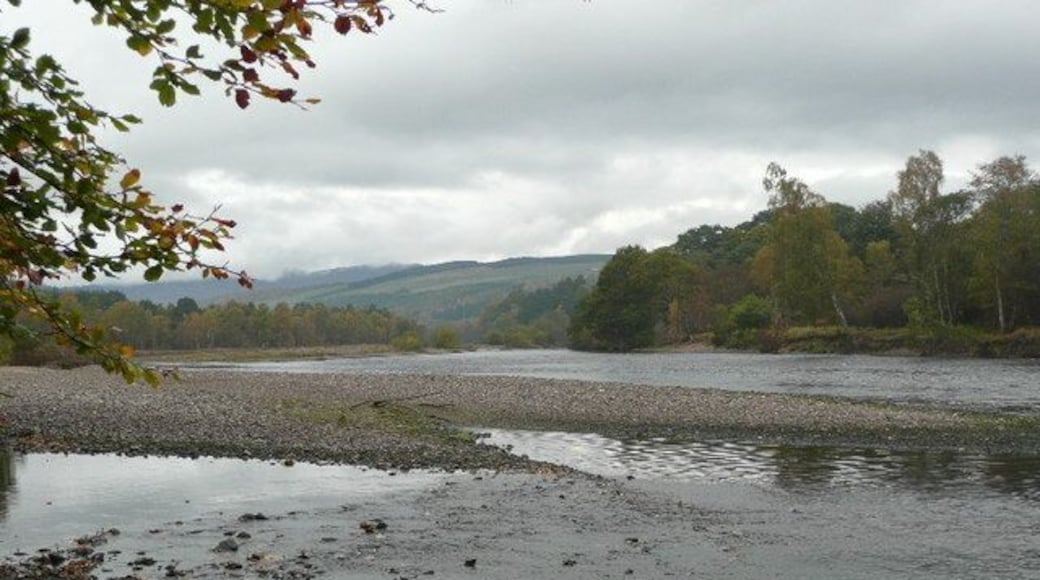 Gravel beds in River Tummel Opposite Ballinluig. Floods move the beds to new locations.