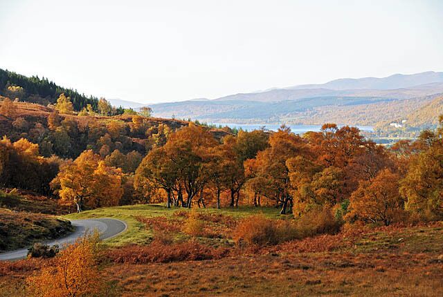 A winding road through a hilly landscape with autumn-colored trees and a lake in the distance.