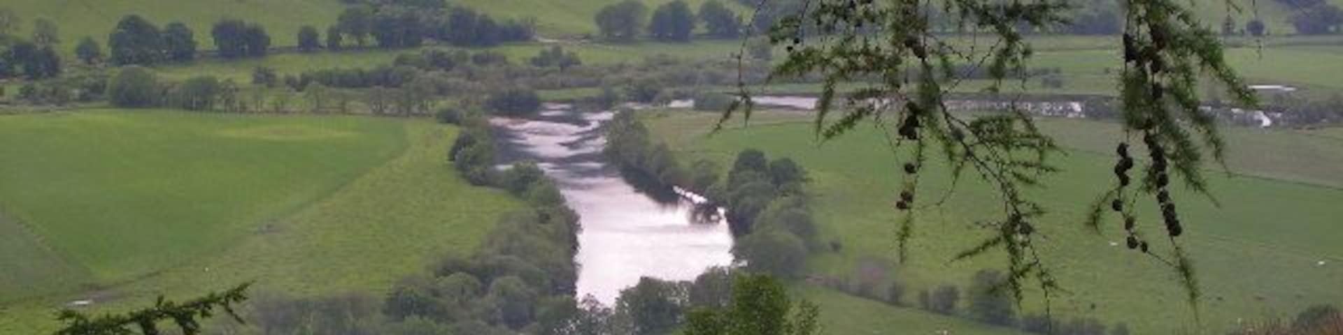 from Logierait Wood looking SW over the Tay.