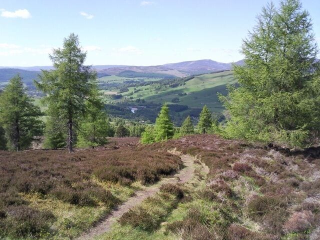 A hilly landscape with a clear path, dense trees, and a distant valley.