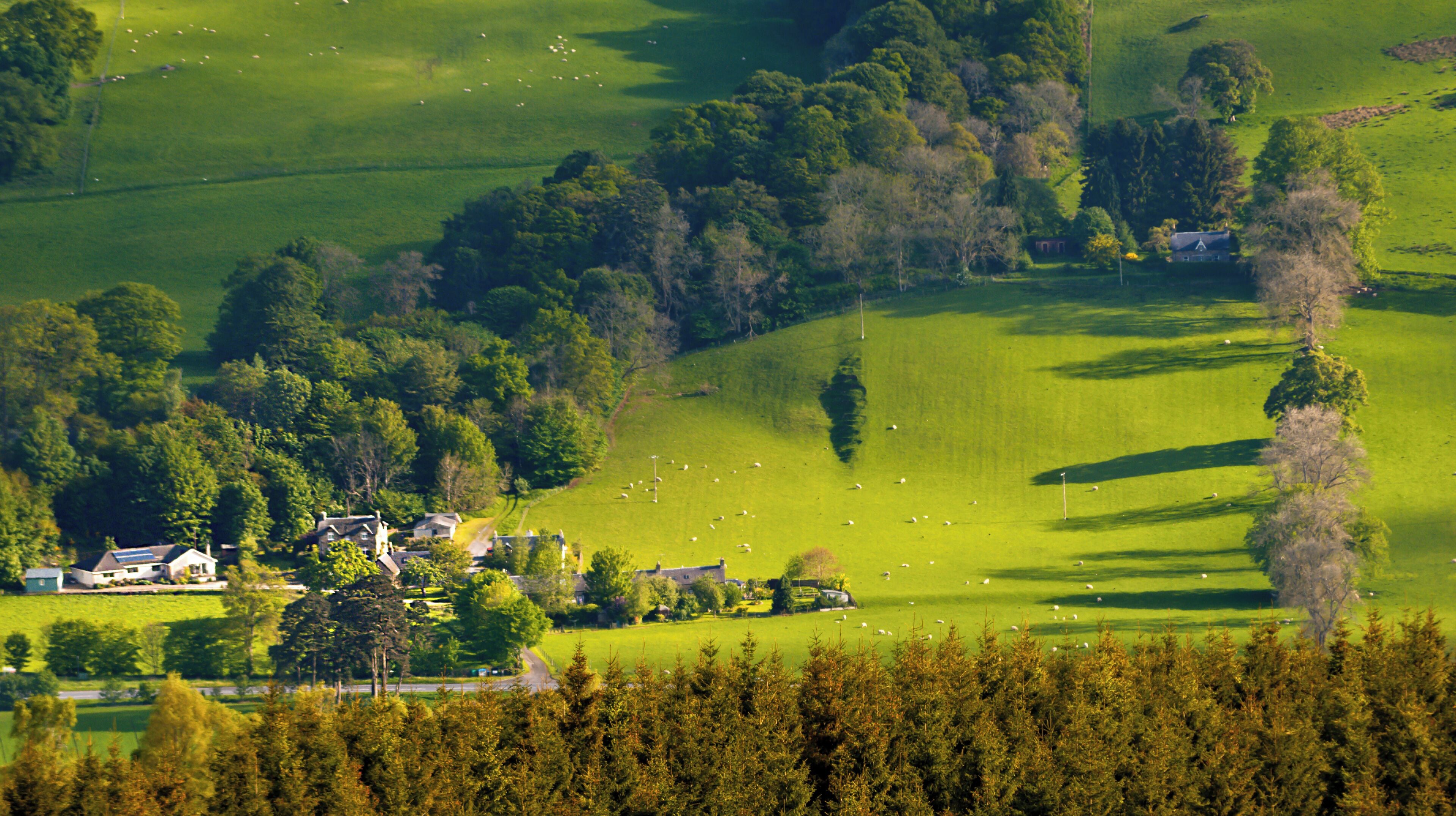 Strathtay, Perthshire.