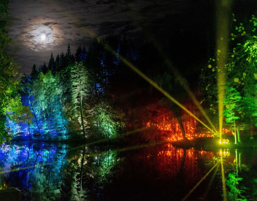During October each year a forest near Pitlochry is transformed in to the Enchanted Forest with a fantastic light and sound show