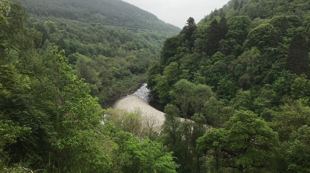 The view over the Tay from a viewpoint en route to Soldiers Leap