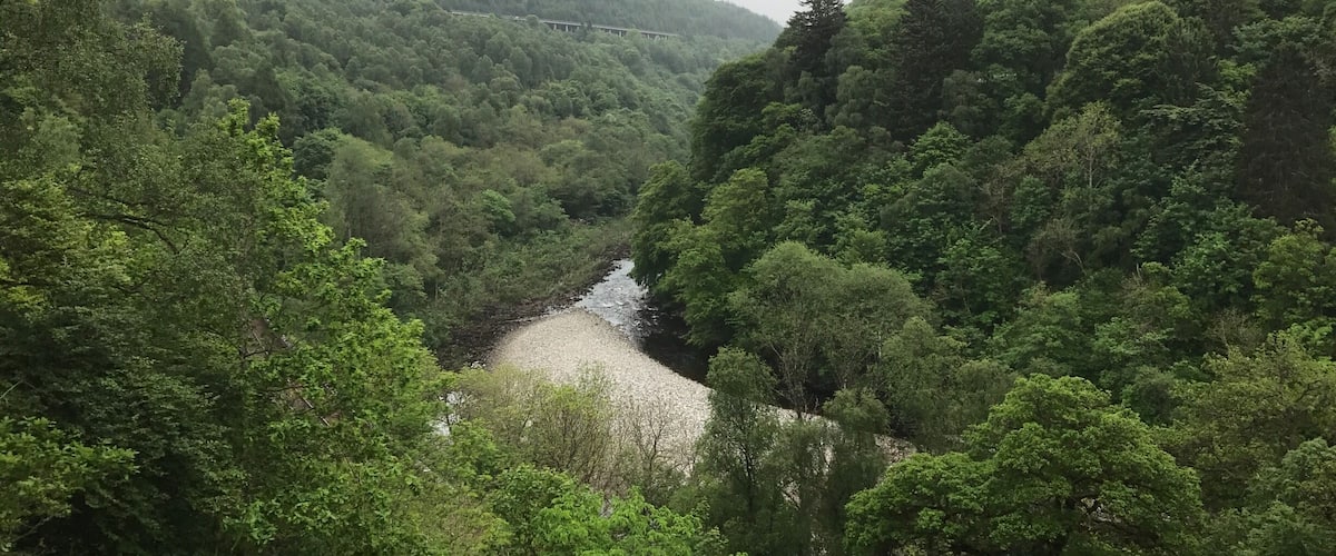 A river flowing through a densely forested valley with hills in the background.