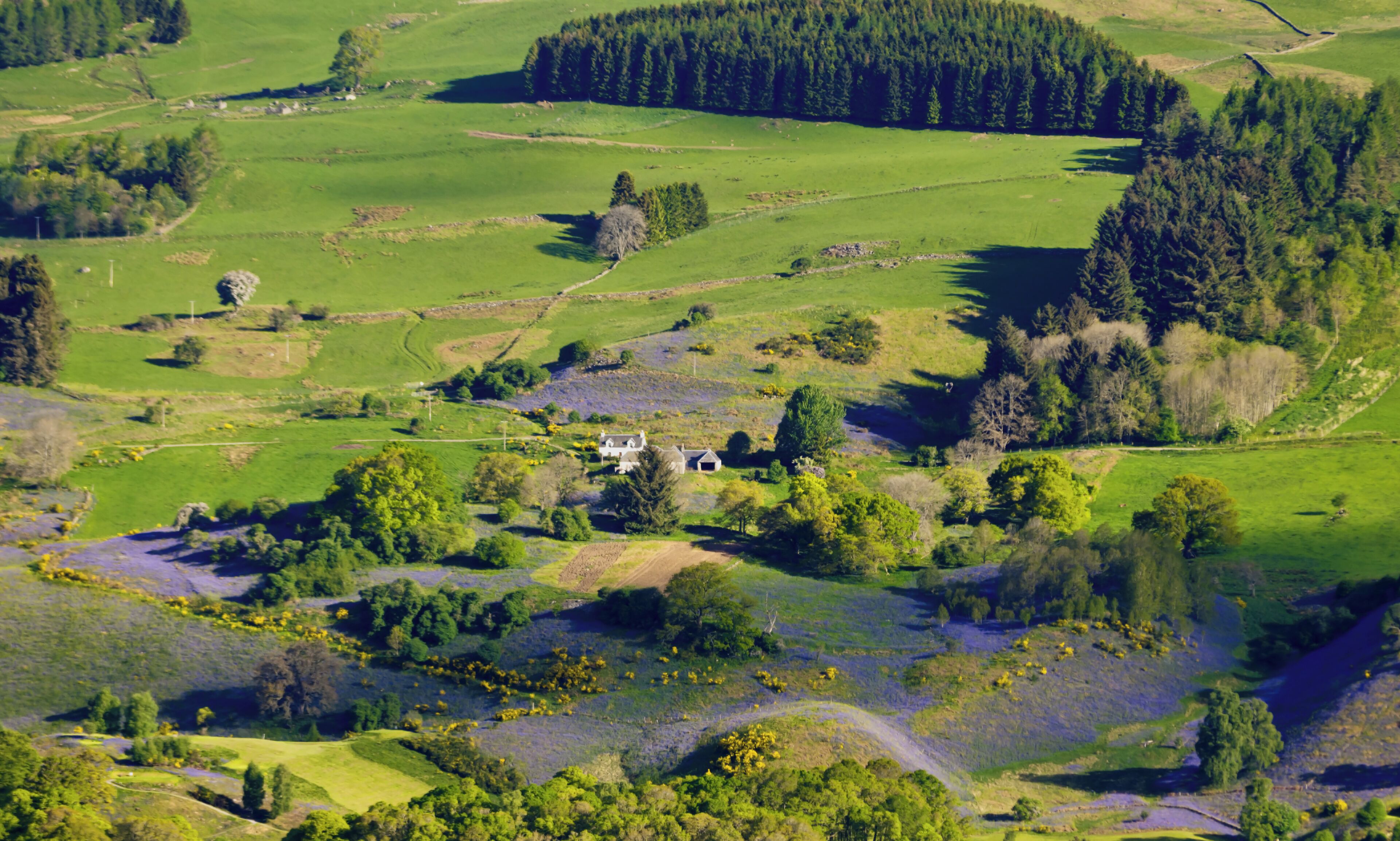 Strathtay, Perthshire