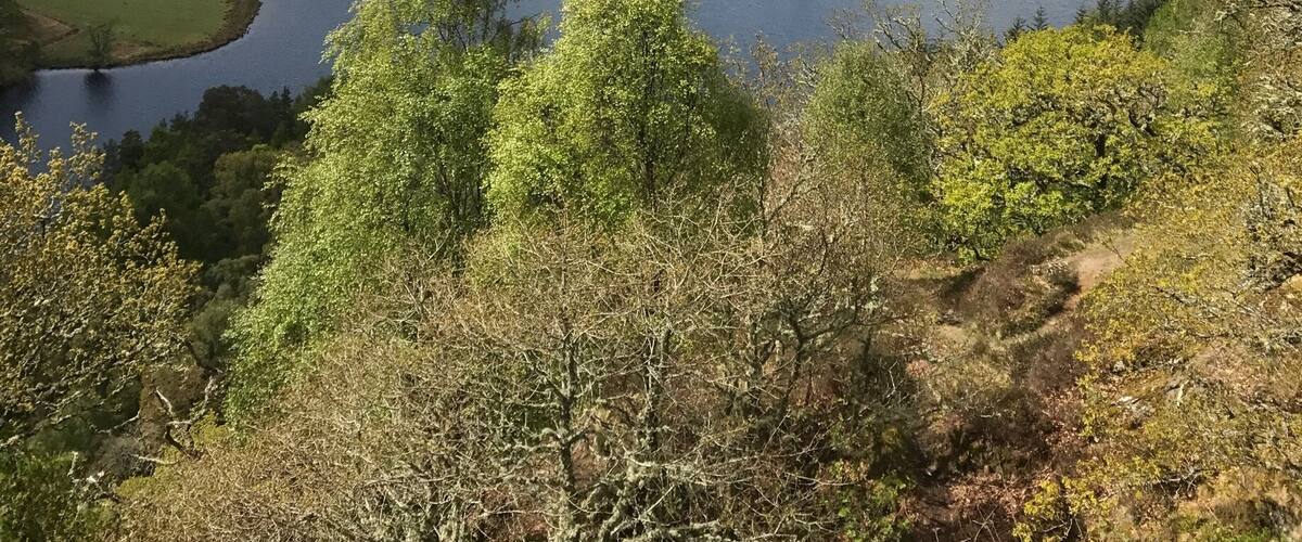 Loch Tummel from Queen's view