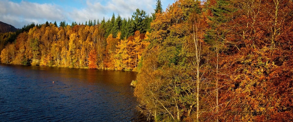 Must stop to take photo. Best time of the year November