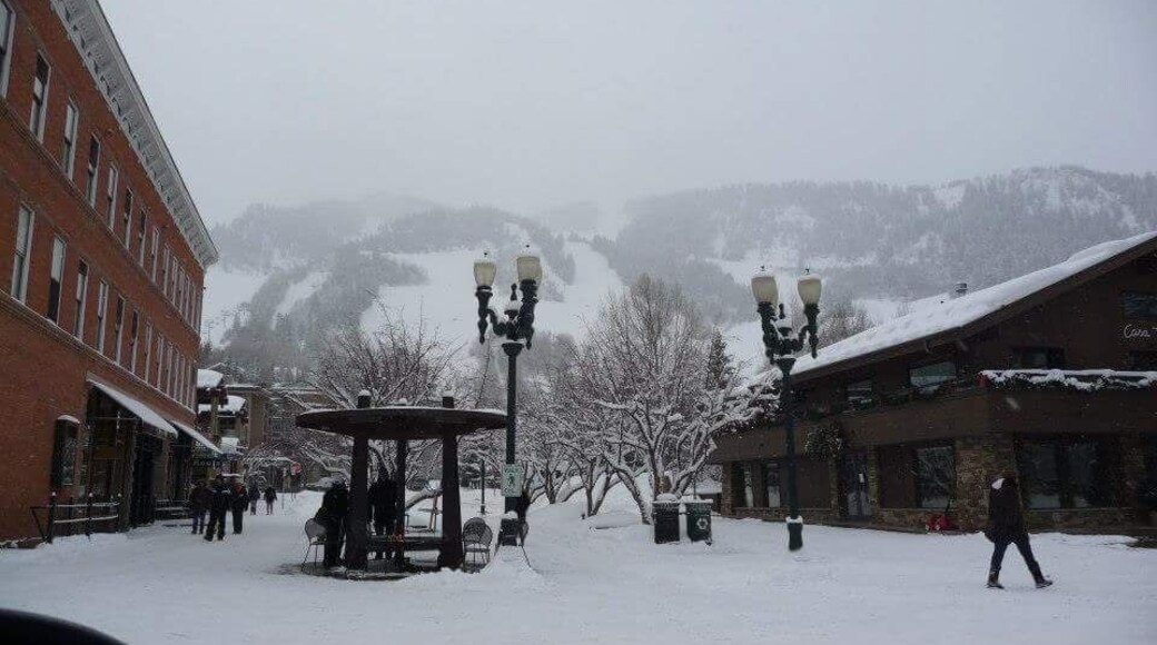 Aspen on a snowy day...