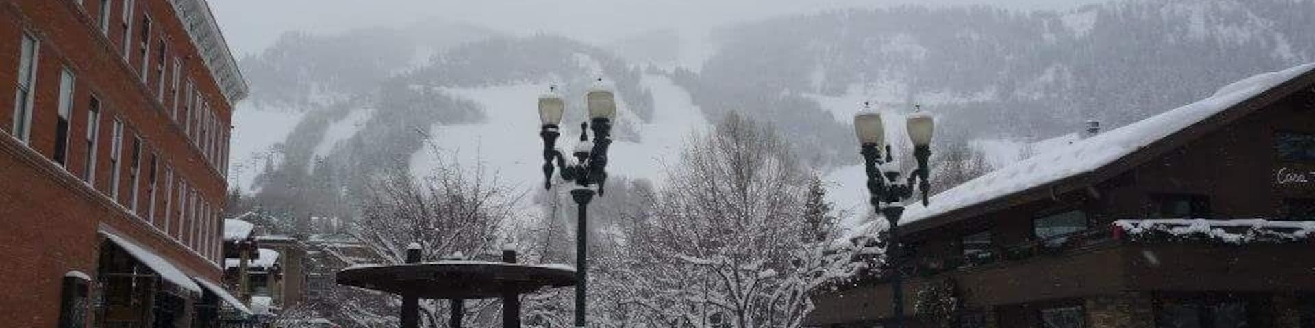 Aspen on a snowy day...