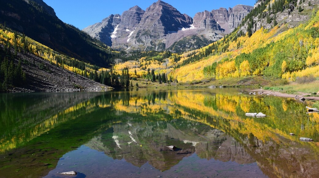 View of GrosPiton and Petit Piton.