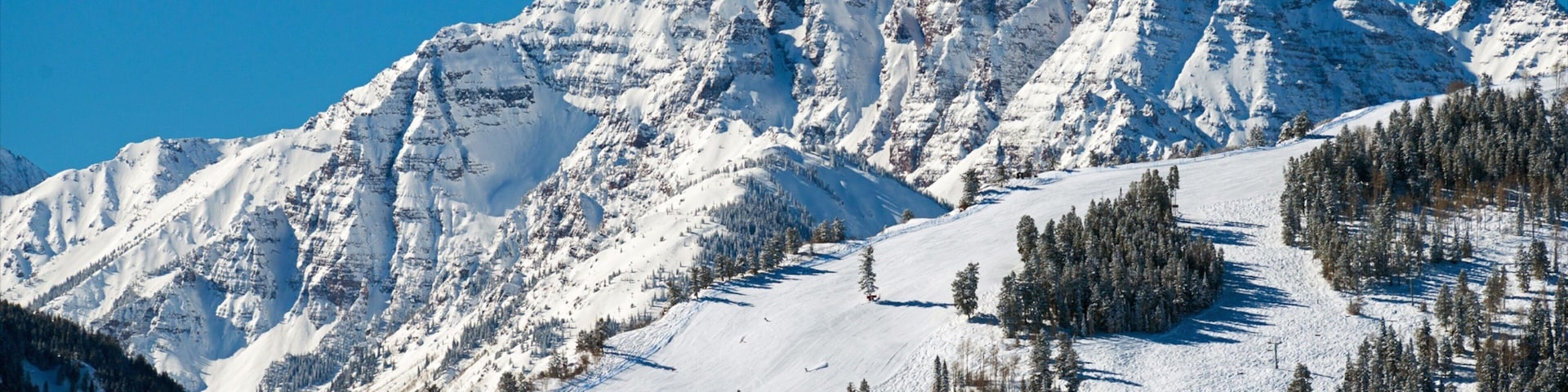 Aspen showing snow and mountains