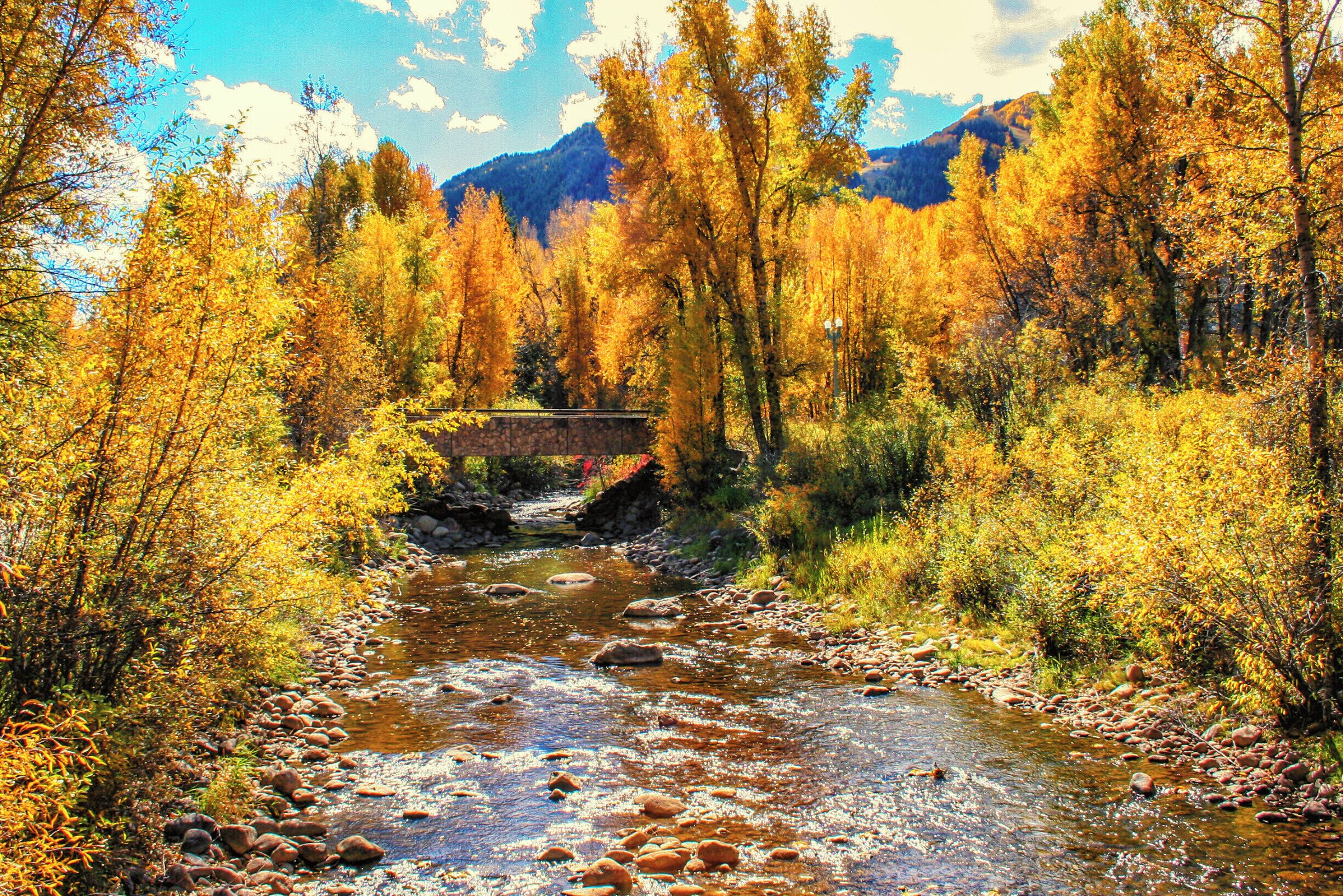 Everyone thinks of Aspen, CO as a ski destination, but it's an amazing place to visit in the fall also. This was taken in October, when the aspen trees were in their full colorful glory.