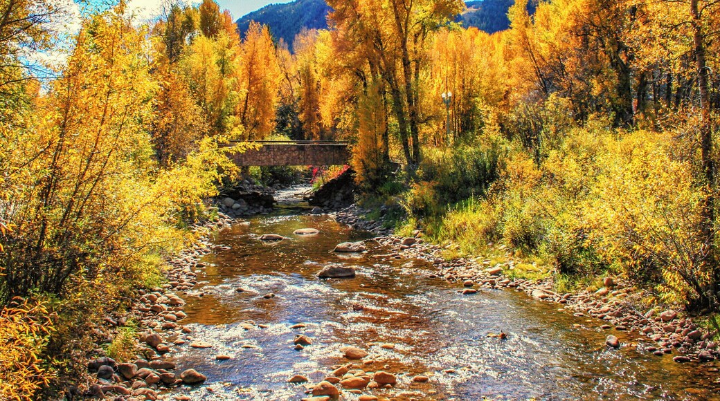 Everyone thinks of Aspen, CO as a ski destination, but it's an amazing place to visit in the fall also. This was taken in October, when the aspen trees were in their full colorful glory.