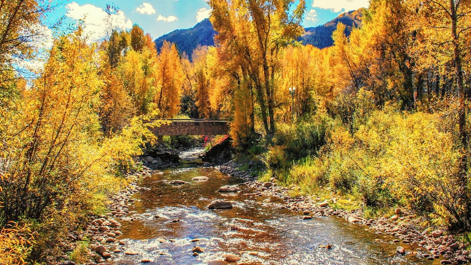 Everyone thinks of Aspen, CO as a ski destination, but it's an amazing place to visit in the fall also. This was taken in October, when the aspen trees were in their full colorful glory.