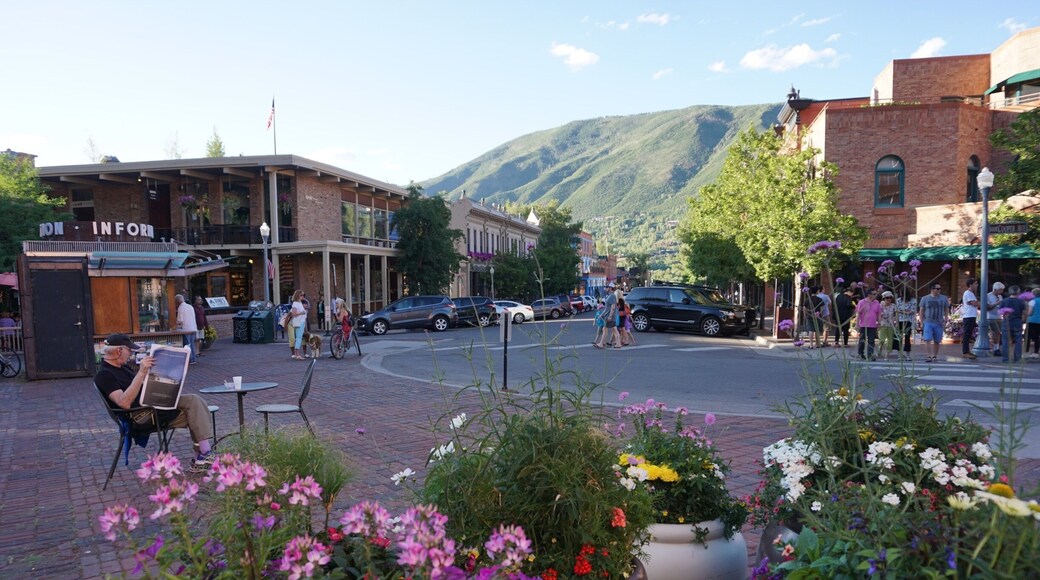 Quaint Aspen, CO in the summer.