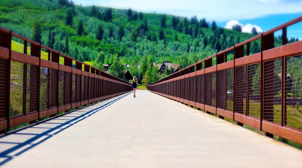 Aspen Colorado in the summer is beautiful, with plenty of hiking and biking trails. Beginners can enjoy well kept, paved paths including this bridge over Maroon Creek near the Aspen Recreation Center. #takeahike #perspectives