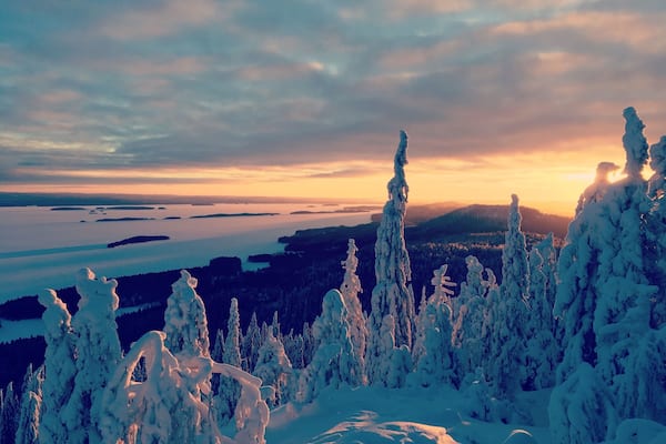 A snowy landscape with snow-covered trees and a view of a lake and distant mountains.