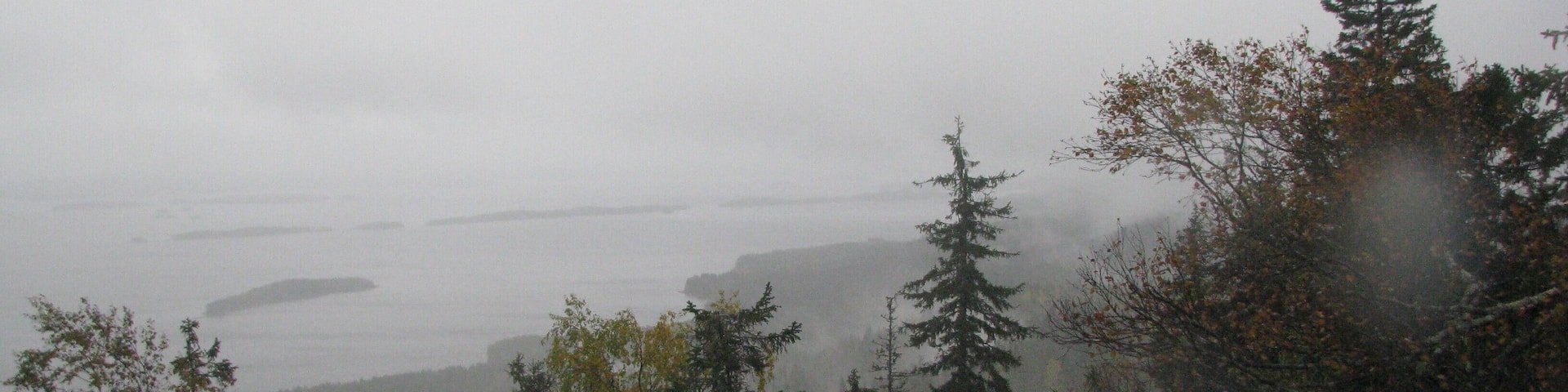 Koli