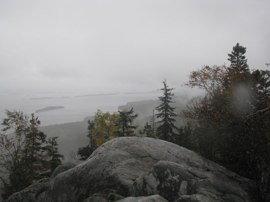Koli