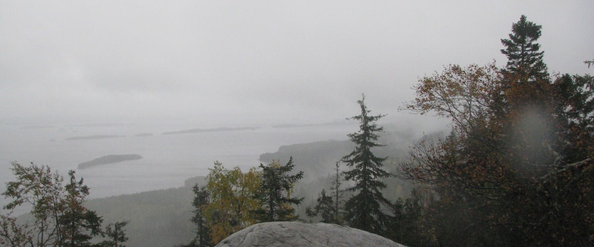 A foggy mountain landscape with rocky terrain and evergreen trees.