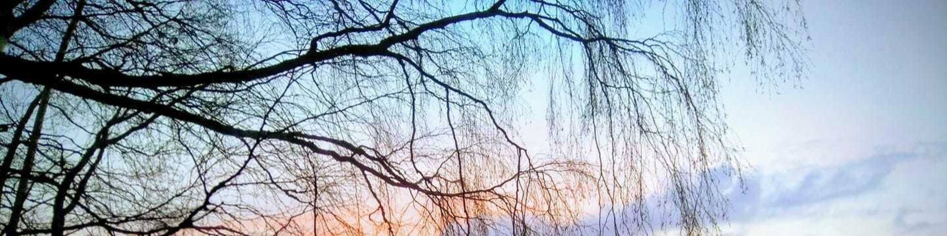 Beutiful evening just before sunset at Lake of Lohja #LifeAtExpedia