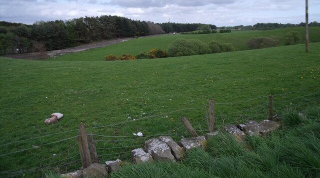 Farmland, Gilston near Polmont Across the road behind the photographer are newly built modern houses.