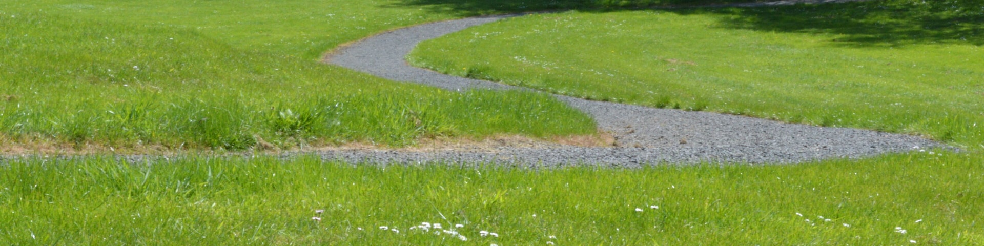 Path