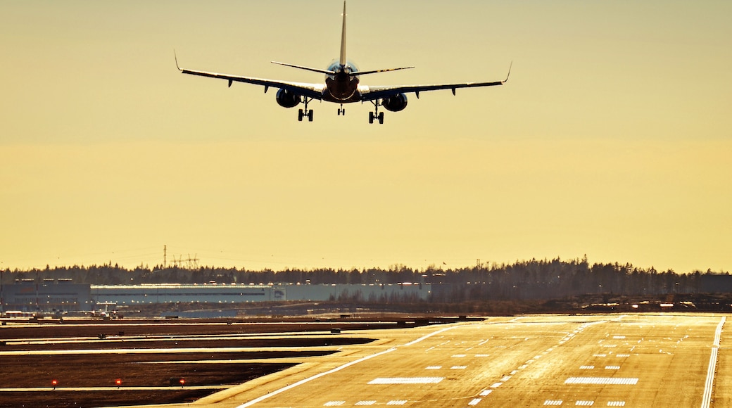 Airplane landing at the airport runway on sunny day