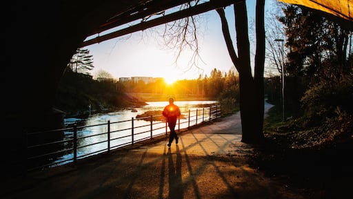 Vanda som inkluderar en solnedgång, en sjö eller ett vattenhål och vandring