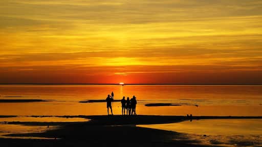 Borgholm...
Borgholm is a city and the seat of Borgholm Municipality, Kalmar County, Sweden with 3,071 inhabitants in 2010. It is located on the island of Öland in the Baltic Sea...
Borgholm is one of Sweden's historical towns with a former city status (stad). The city is best known for its once-magnificent fortress which is now ruined. Borgholm is, despite its small population, for historical reasons normally still referred to as a city...
Statistics Sweden, however, only counts localities with more than 10,000 inhabitants as cities...
The city is situated some 20 kilometres (12 miles) north of the Öland bridge which connects the island with the city of Kalmar on the mainland...
There are small reaches of the Stora Alvaret geological formation in the environs of Borgholm, which level exposures of limestone host a variety of rare species of butterflies and wildflowers, some of which are endemic to Öland...