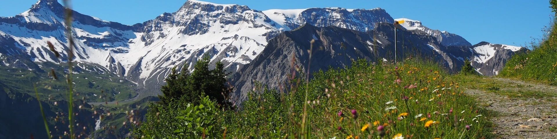 Meadows and mountains. I asked myself "Is this place real?" #TakeAHike