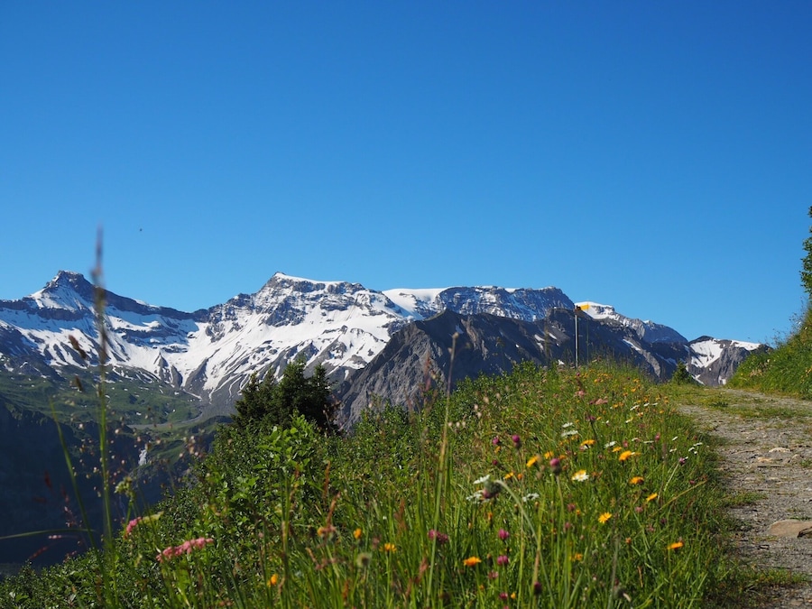 Meadows and mountains. I asked myself "Is this place real?" #TakeAHike