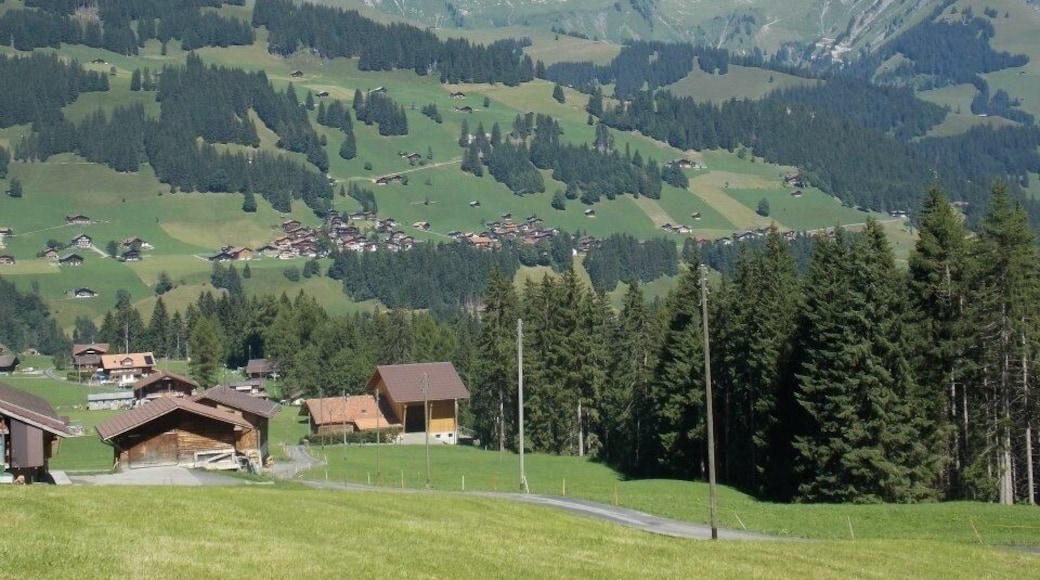 Adelboden, Switzerland