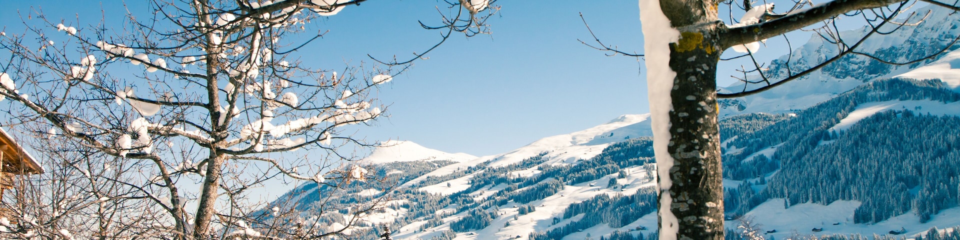 Winter nature in Swiss Alps, Berner Oberland, Adelboden