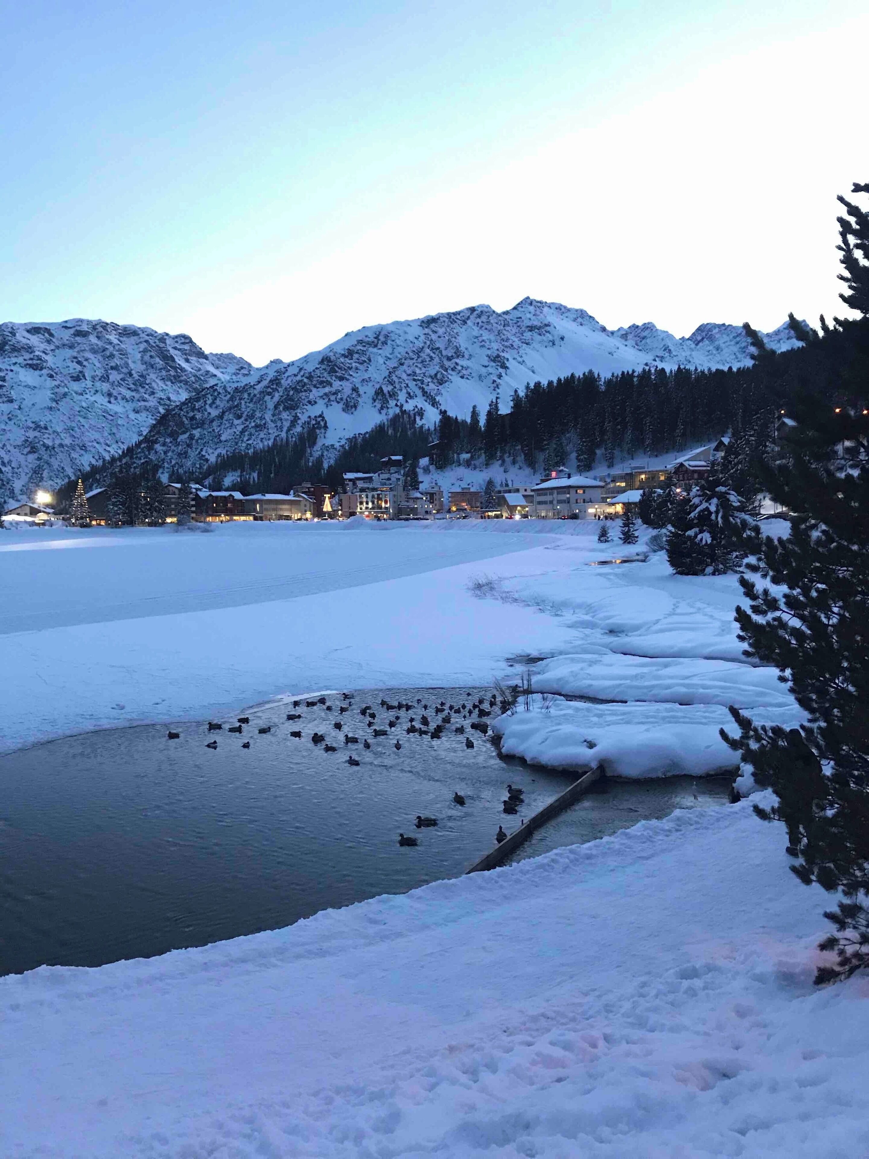 Duck-Pond in Arosa at dusk...