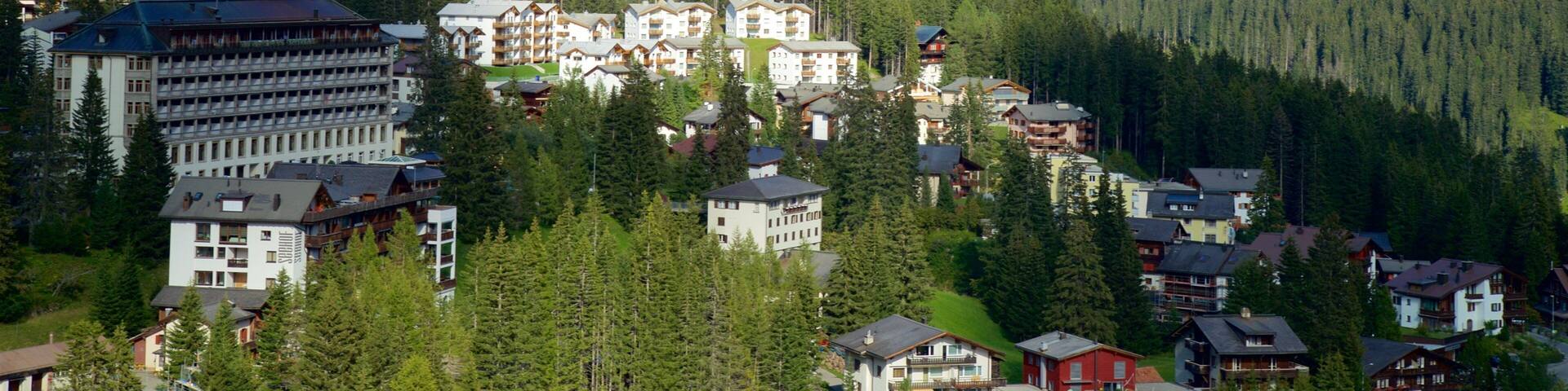 A mountainous landscape with a cluster of buildings surrounded by dense forests and snow-capped peaks.