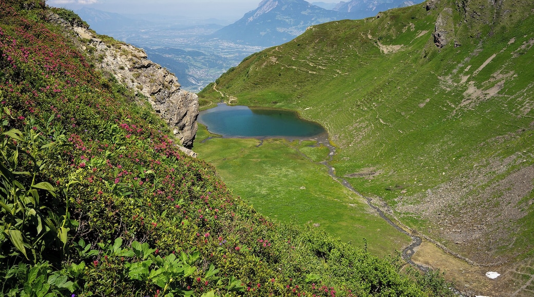 Come and have a hike from Pardiel to Laufböden close to Bad Ragaz under the sunny day, you will be garanteed with this magnifient view over the lake and mountains in the distance!
