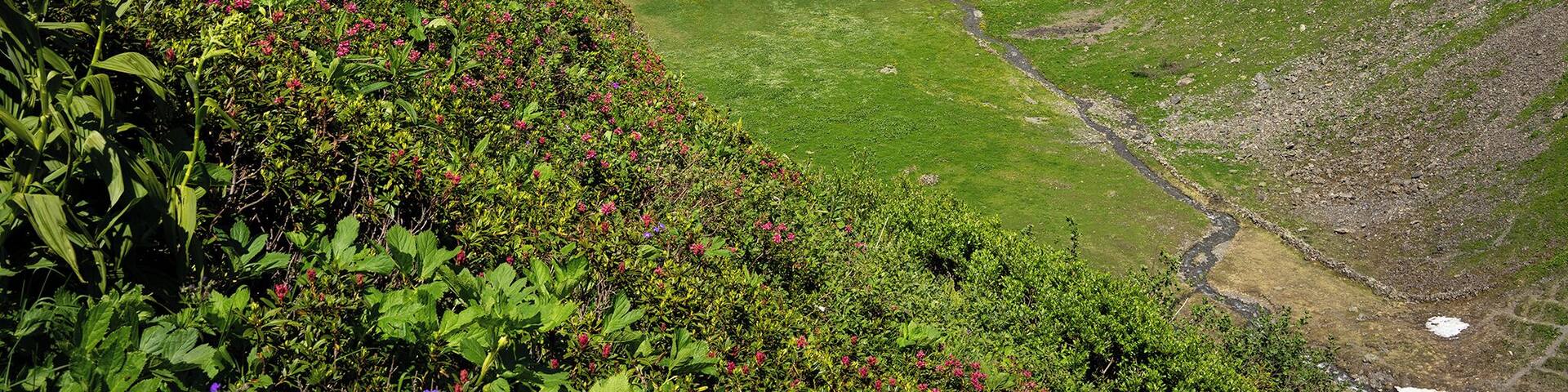 Come and have a hike from Pardiel to Laufböden close to Bad Ragaz under the sunny day, you will be garanteed with this magnifient view over the lake and mountains in the distance!