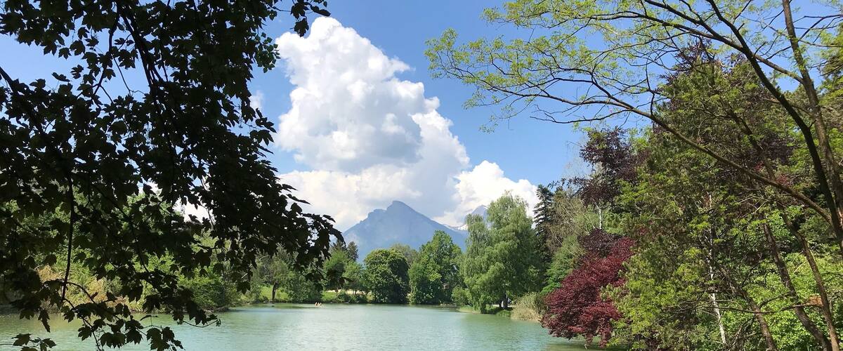 A calm lake surrounded by trees and mountains.