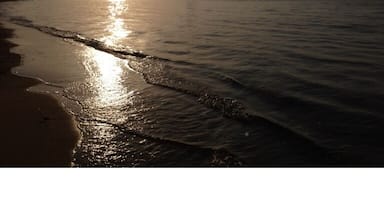 Morning glory at Tsuchihama beach in Kasari area of Amami city.