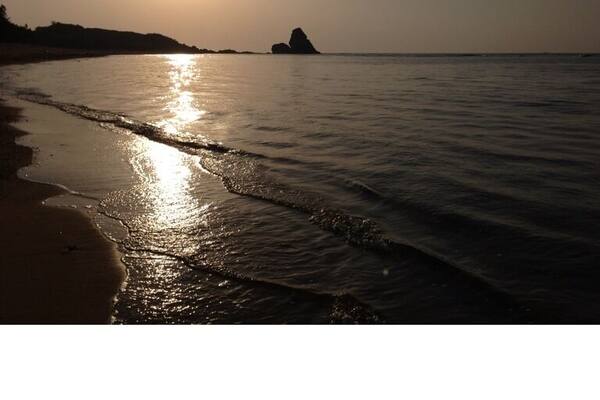 Morning glory at Tsuchihama beach in Kasari area of Amami city.